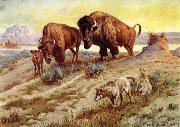 unknow artist Buffalo Family France oil painting artist